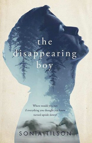 Book cover for The Disappearing Boy